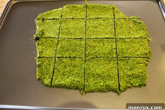 Green juice pulp cracker dough, spread thinly on a dehydrator sheet, with lines scored to indicate individual cracker portions.