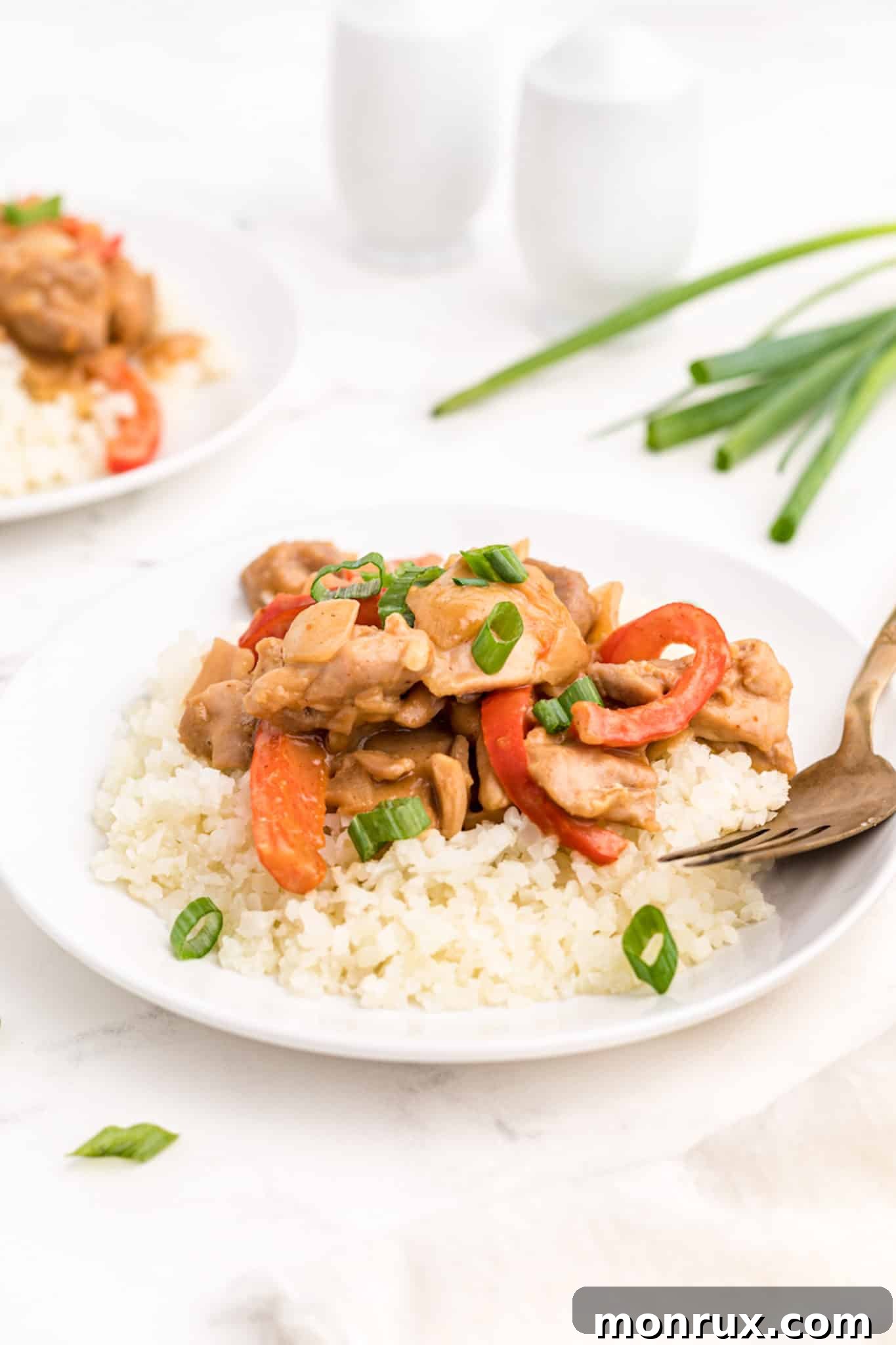 Peanut Butter Chicken served with rice and fresh cilantro garnish