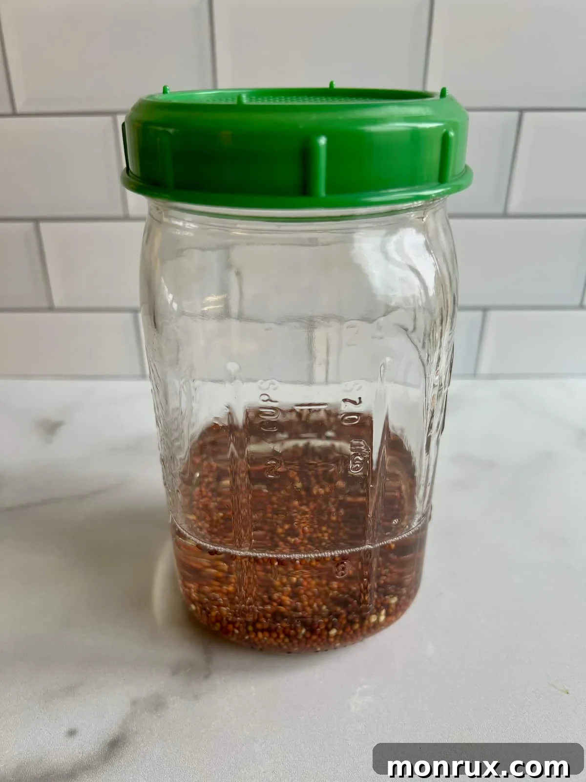 Broccoli seeds soaking in a glass sprouting jar with a specialized lid, beginning the germination process.