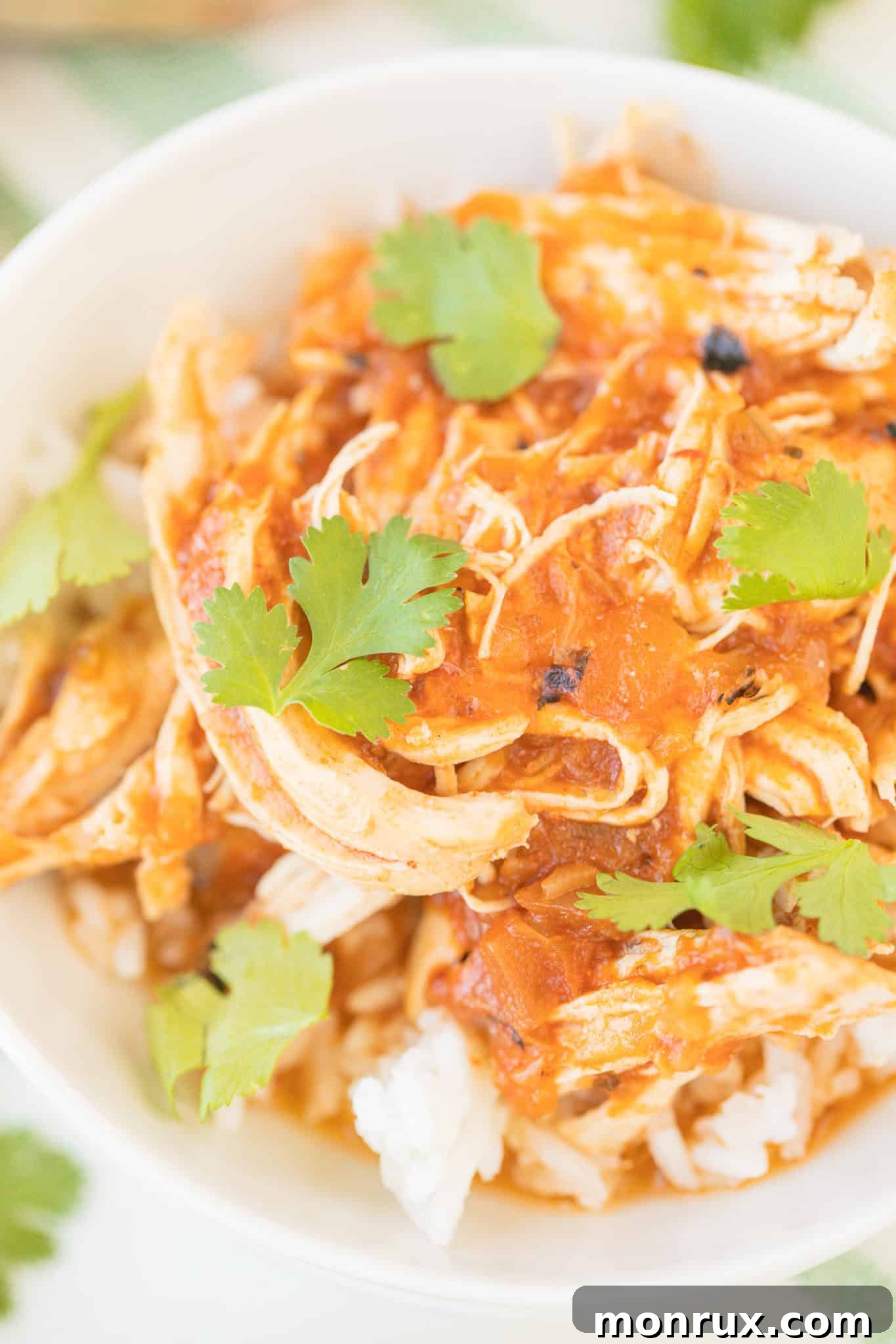 A vibrant bowl of Instant Pot Salsa Chicken topped with fresh cilantro leaves, ready to be enjoyed.