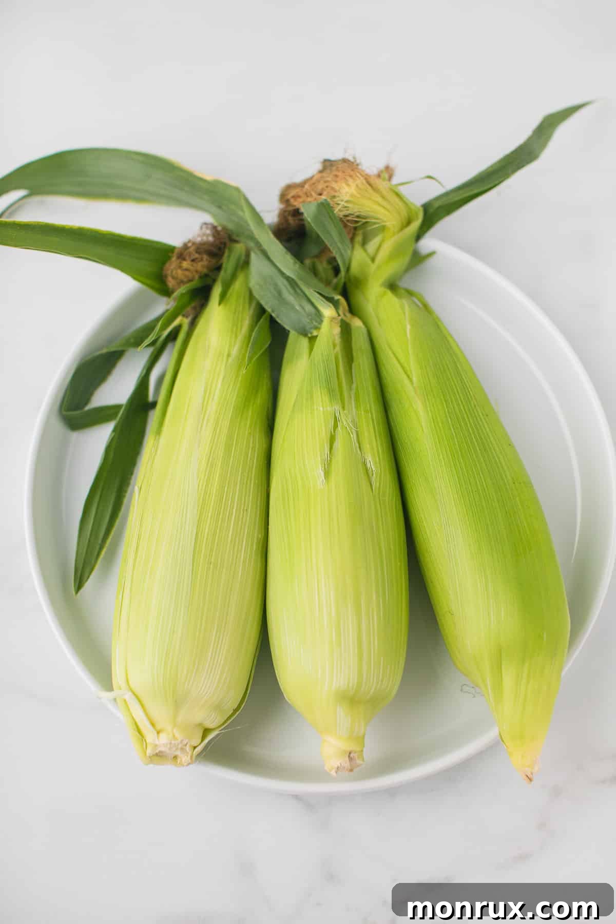 three pieces of corn on a plate with the husks on.
