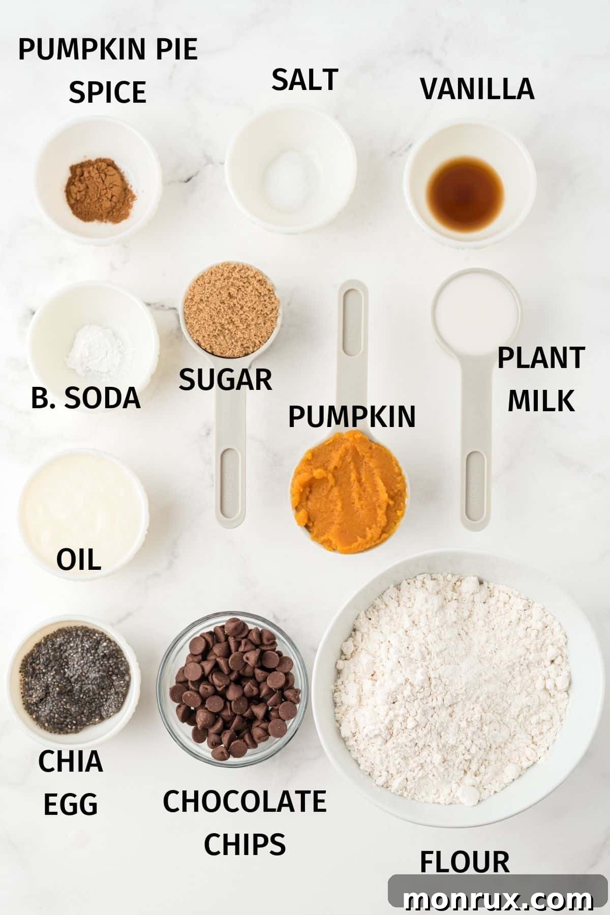 A vibrant photo showcasing individually labeled ingredients essential for baking delicious vegan pumpkin chocolate chip cookies, arranged neatly on a kitchen counter.