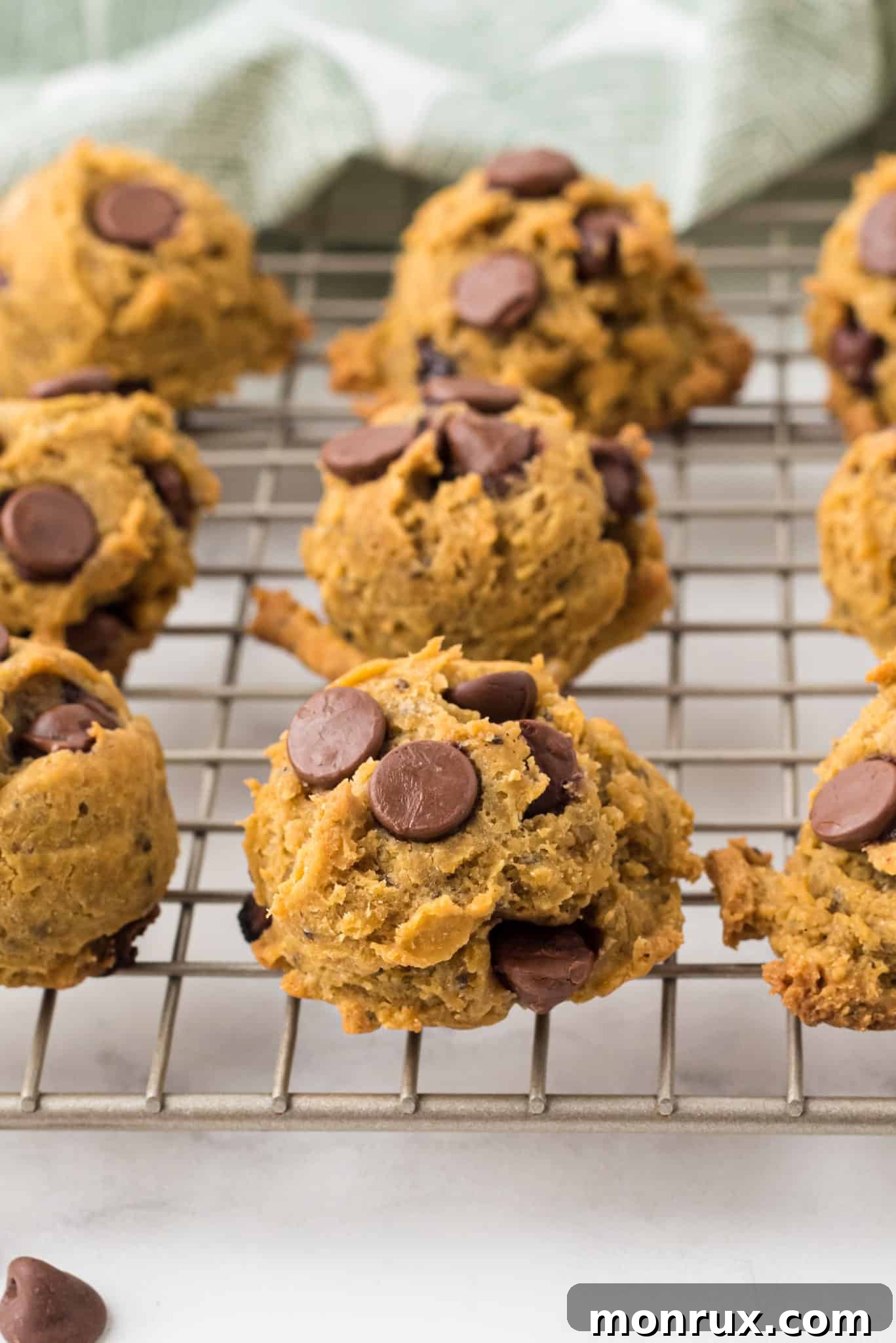 Freshly baked vegan pumpkin chocolate chip cookies cooling on a wire rack, steam gently rising, promising a soft and chewy texture.