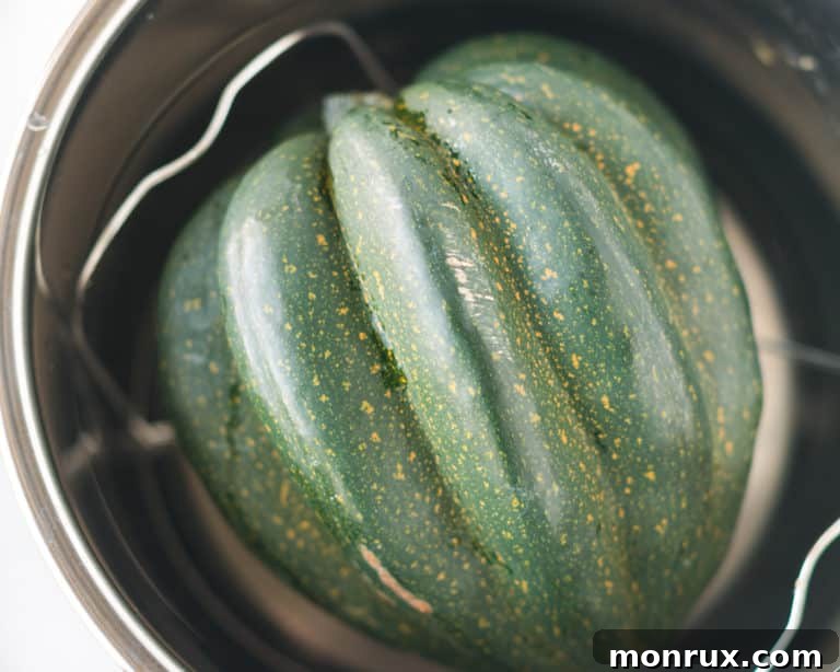 A perfectly cooked whole acorn squash, showcasing its tender texture after being prepared in the Instant Pot.