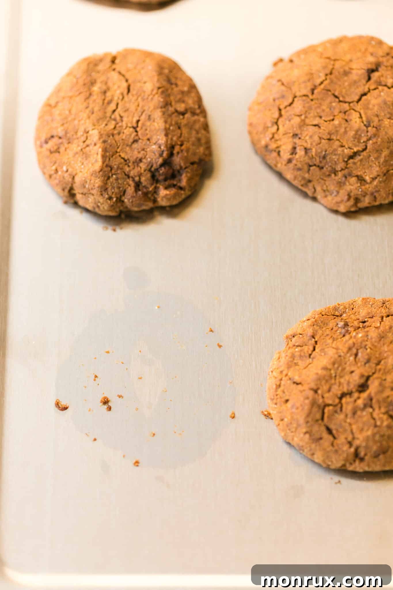 Freshly baked molasses cookies gently cooling on a stainless steel baking sheet, ready for transfer and serving.