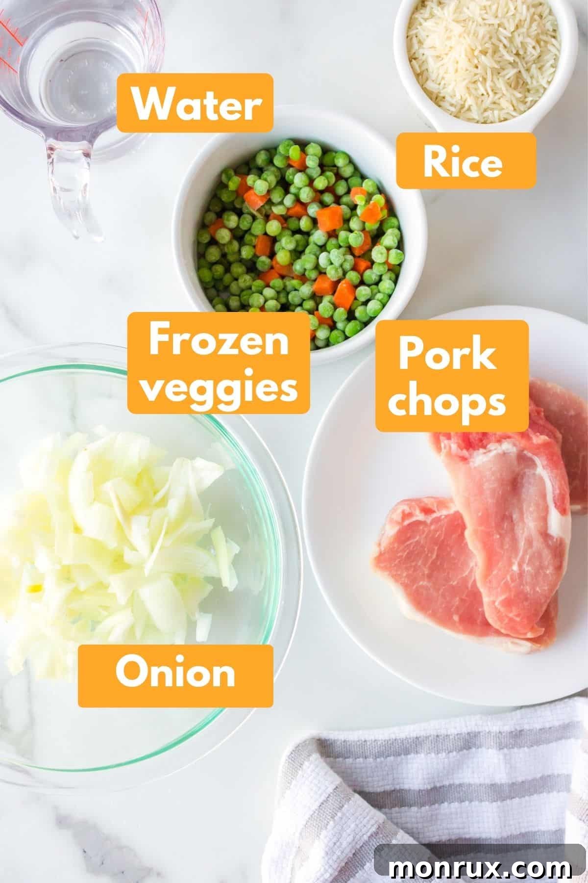 photo with labeled ingredients for instant pot pork chops and rice recipe.