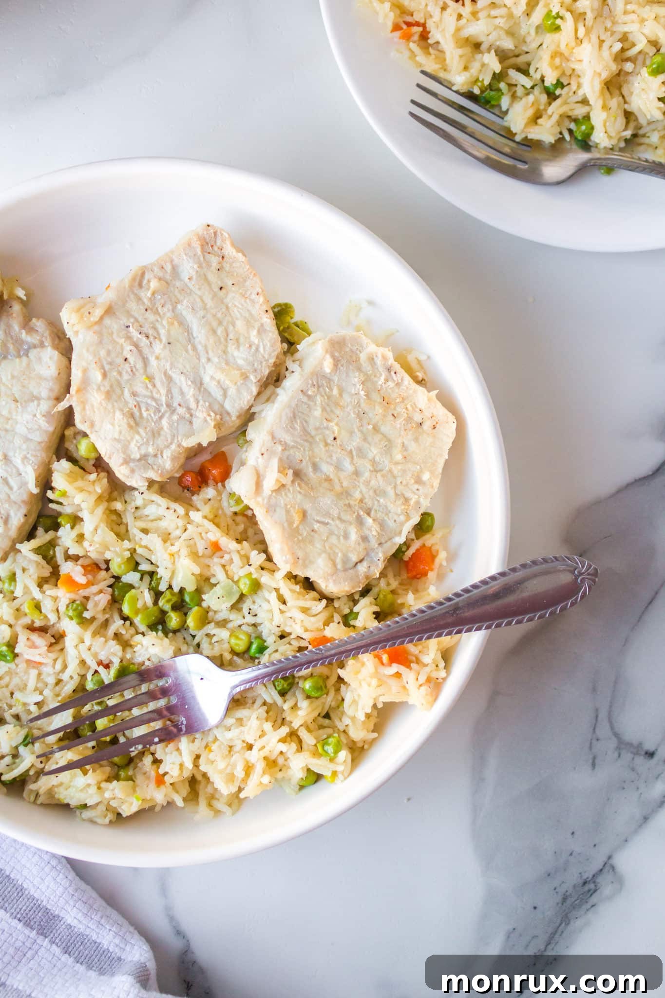 plate with cooked pork chops and rice.