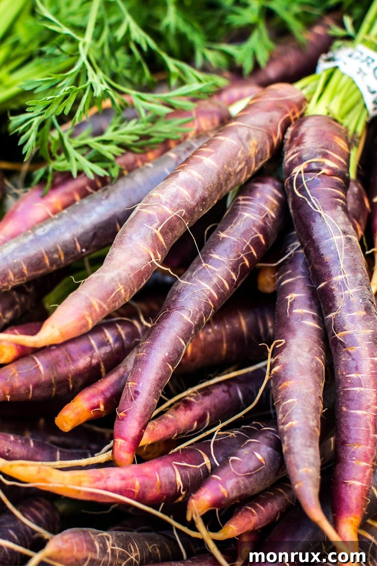 A freshly harvested bunch of bright purple carrots, displaying their distinctive root shape and rich color.
