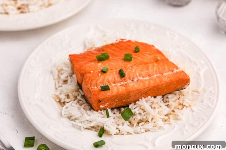 instant pot salmon with rice