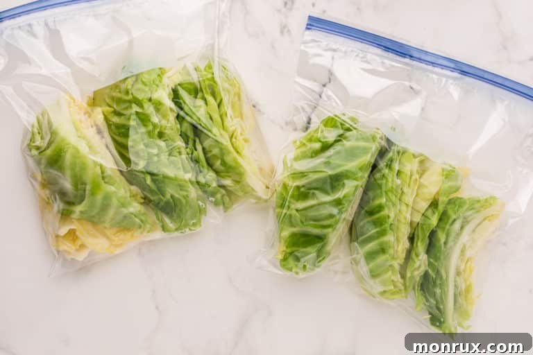 Bags of frozen cabbage, neatly stacked for storage.