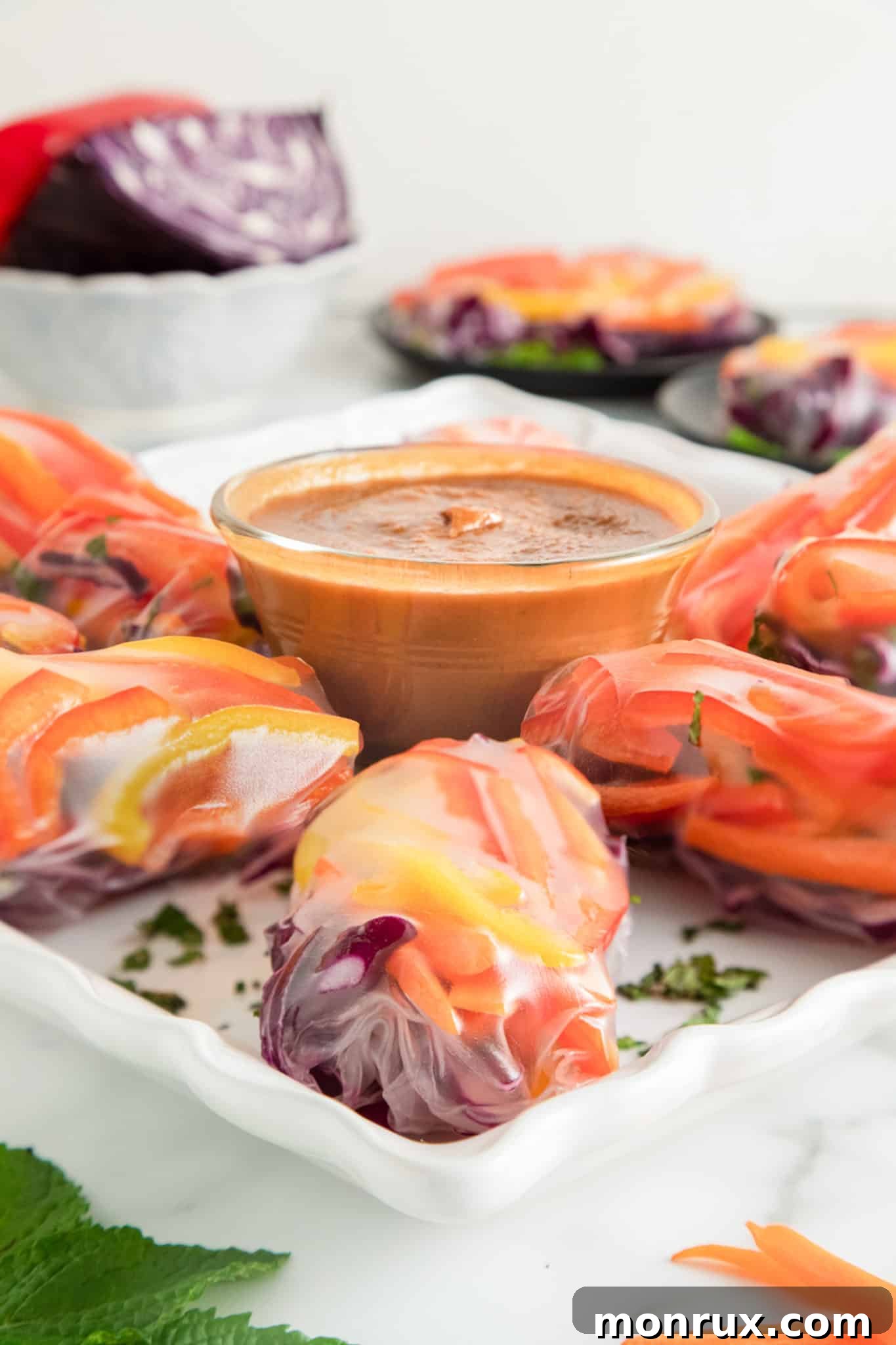 Delicious vegan summer rolls served with a rich peanut sauce, showcasing a fresh and healthy snack or appetizer.