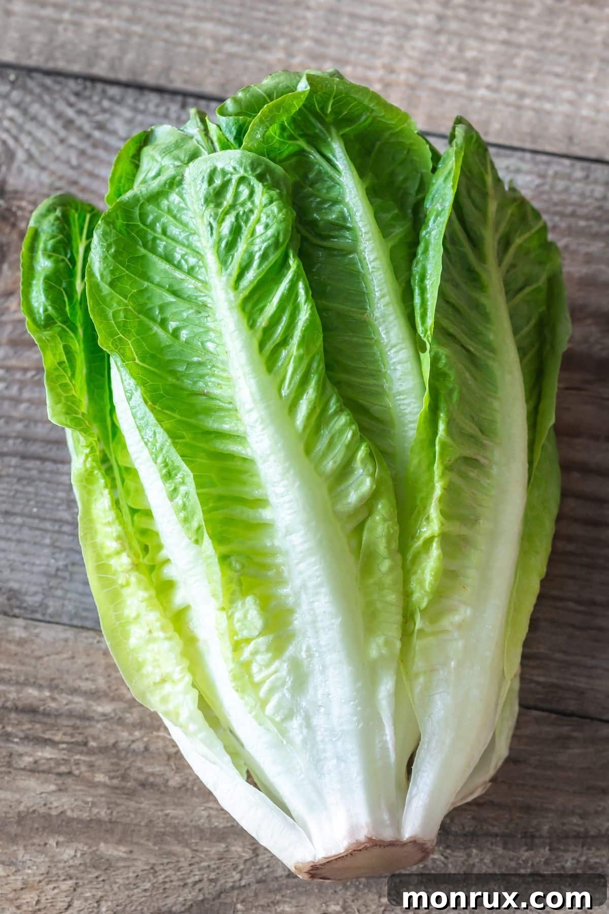 romaine lettuce on table, highlighting its crisp leaves.