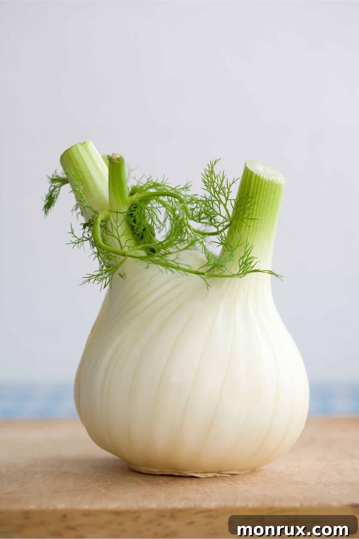 fennel bulb on a table, ready for preparation.