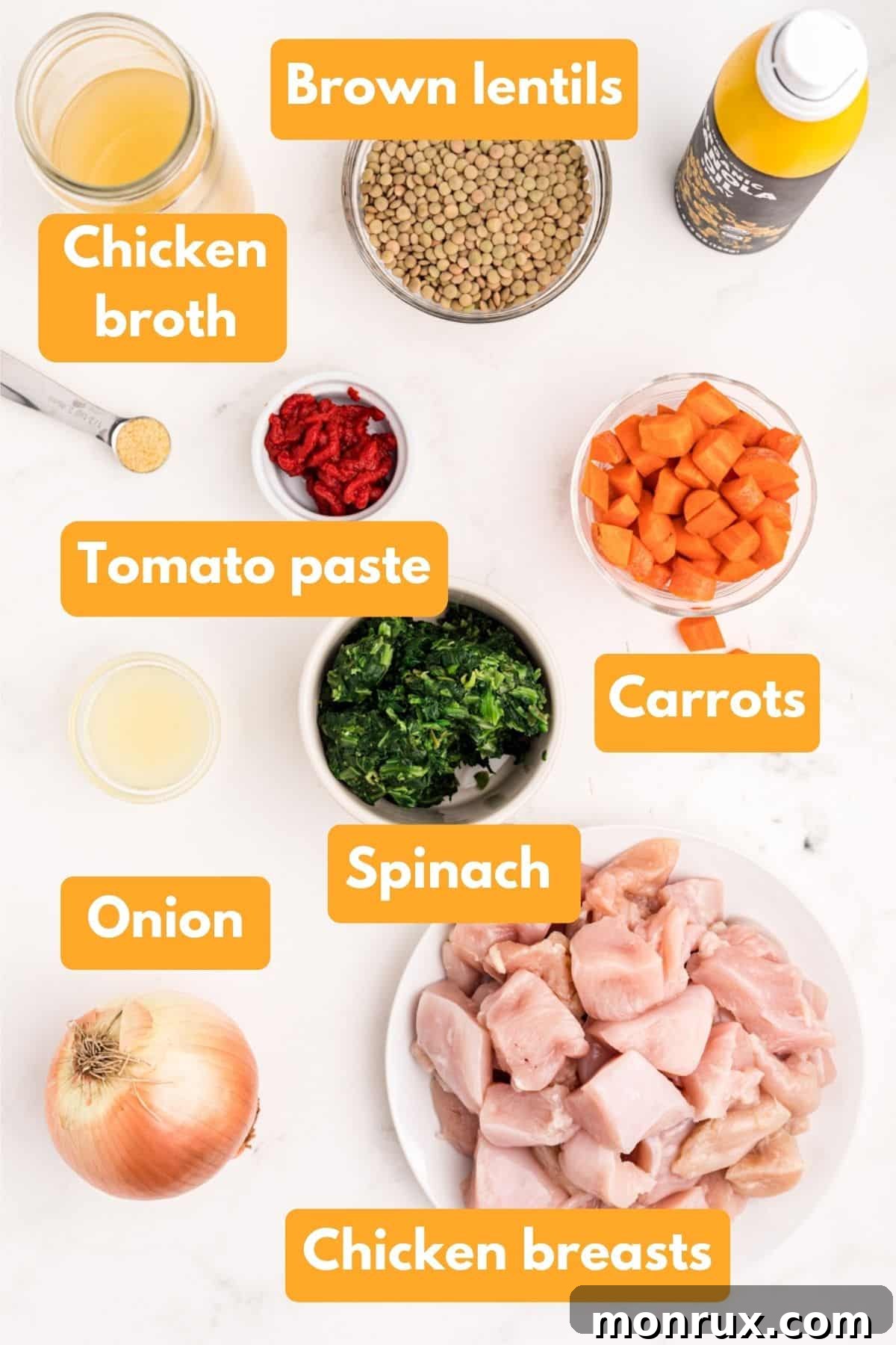 ingredients for slow cooker chicken stew with lentils