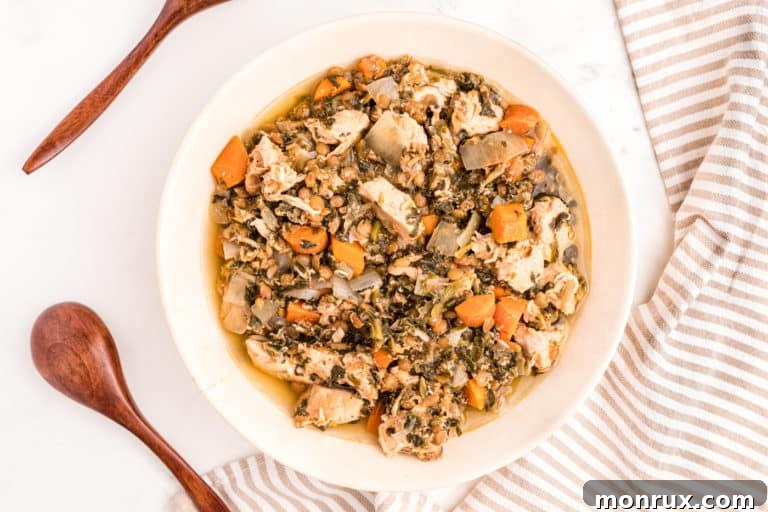 slow cooker chicken stew with lentils