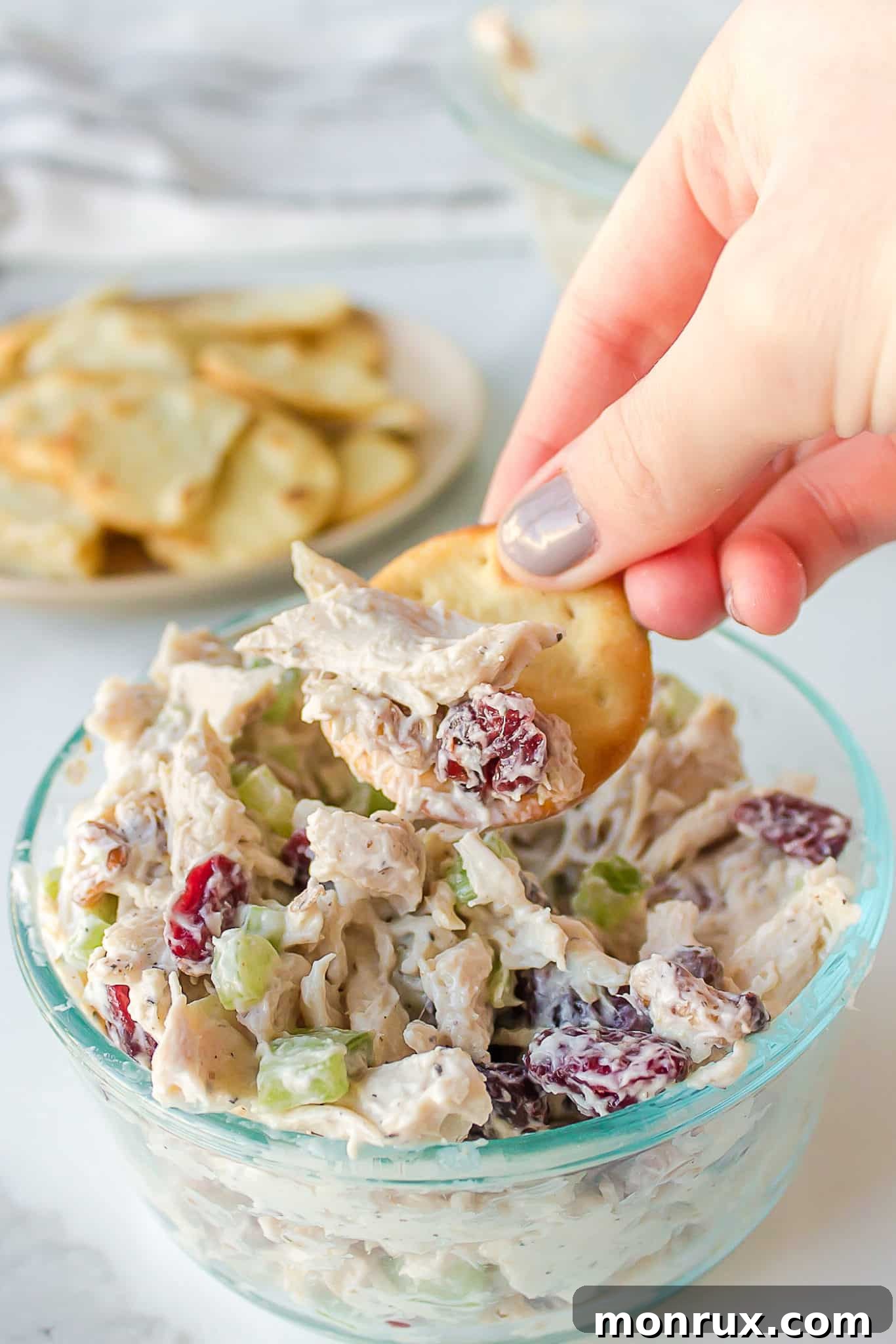 A single cracker delicately topped with a spoonful of Cranberry Walnut Chicken Salad, ready to be enjoyed as a light snack or appetizer.