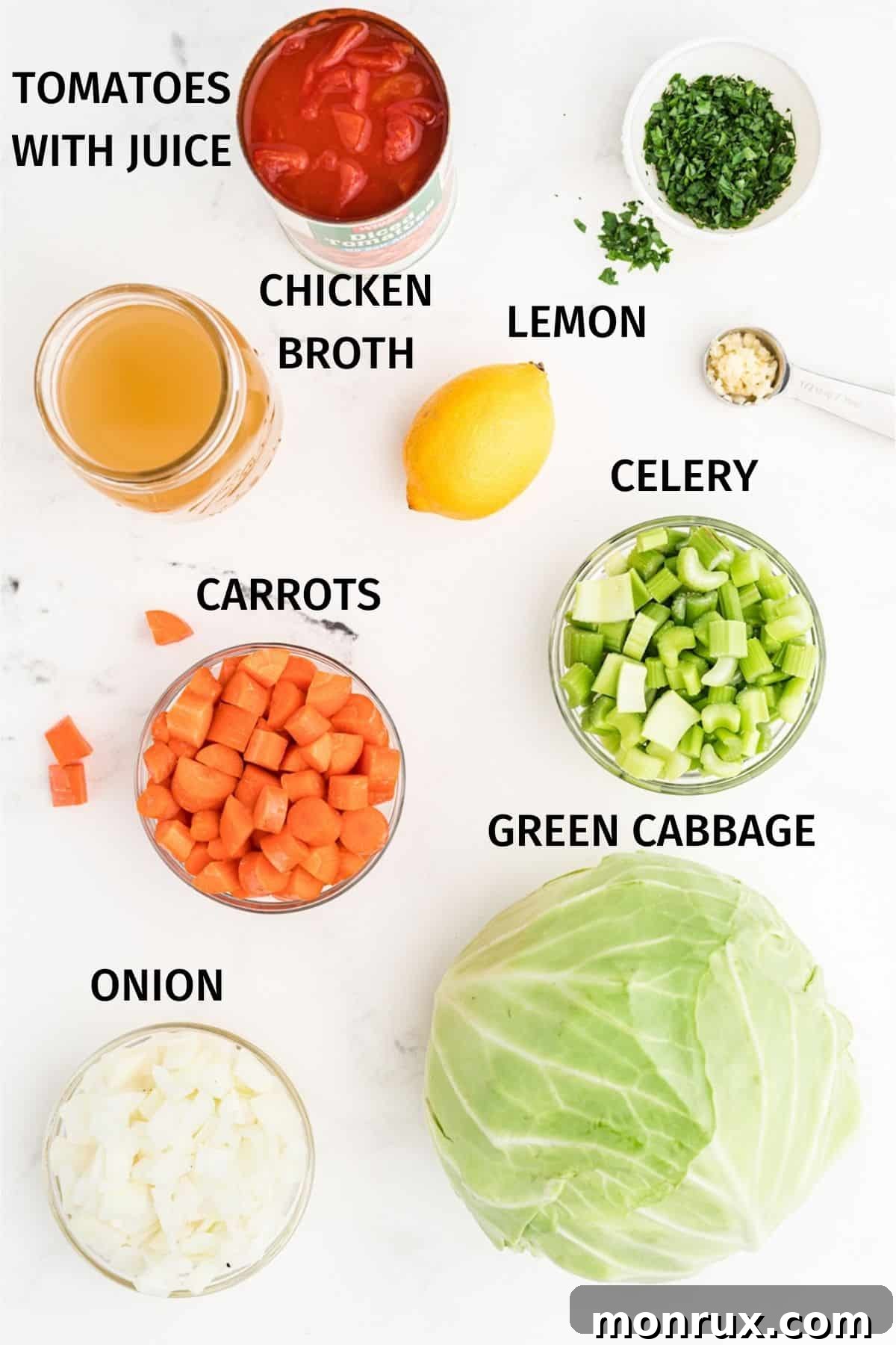 Fresh ingredients for making healthy cabbage vegetable soup: green cabbage, carrots, celery, onion, garlic, canned tomatoes, and broth.