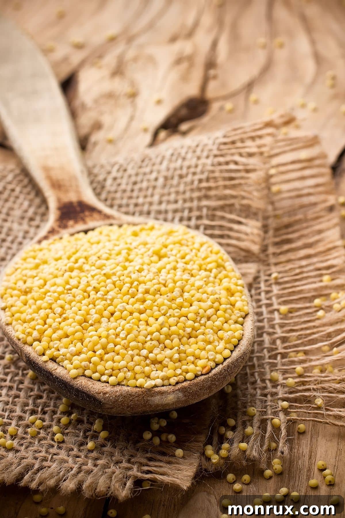A wooden spoon holding a scoop of small, golden millet grains.