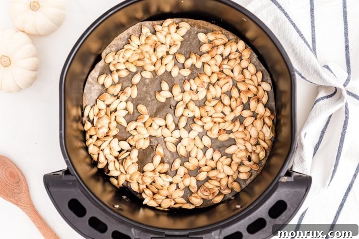Roasted pumpkin seeds from an air fryer.