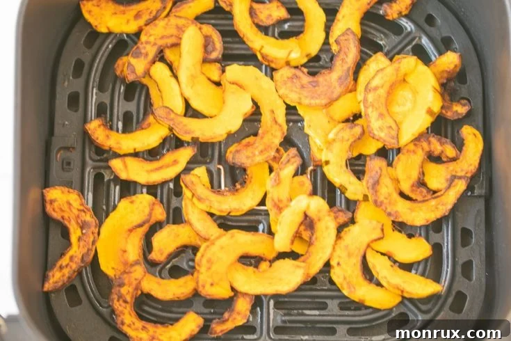 Sliced delicata squash roasted in an air fryer.