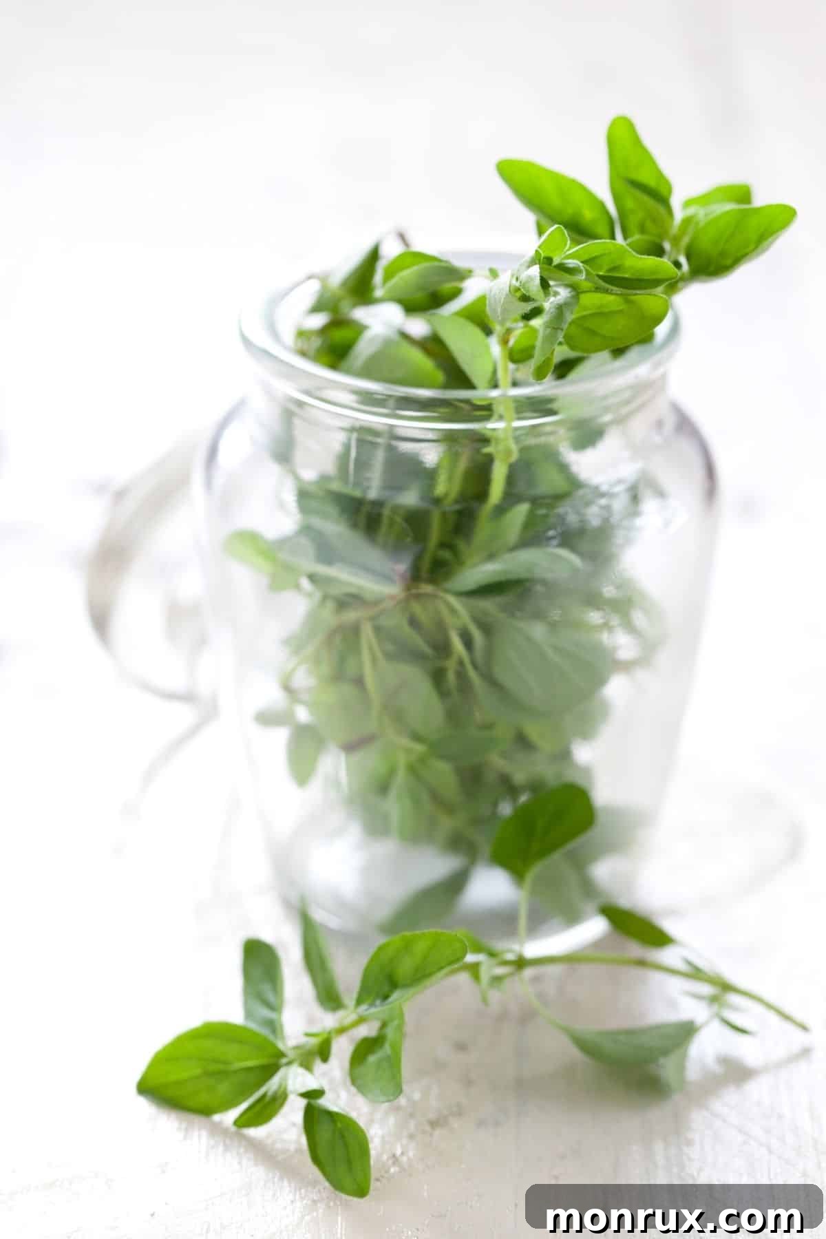 Fresh sprigs of marjoram in a glass jar, highlighting its delicate green leaves.