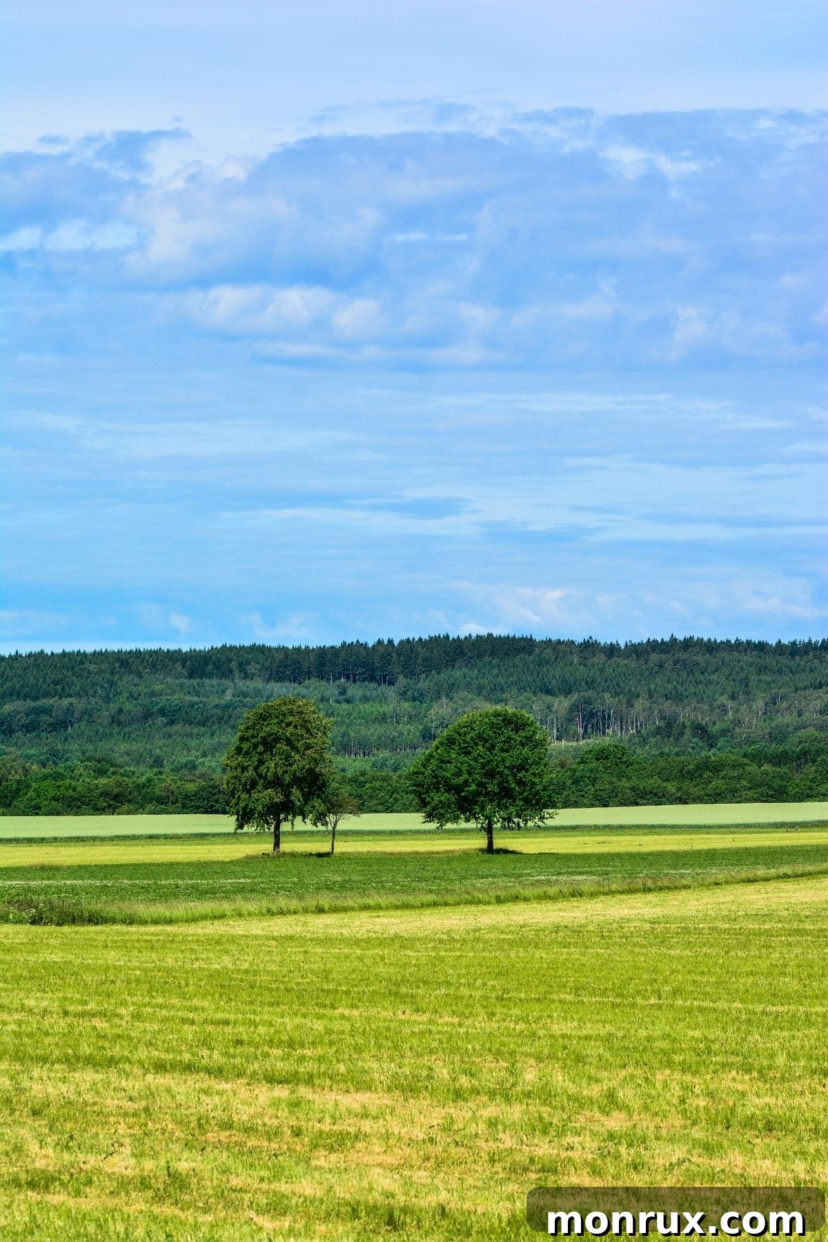 A serene countryside landscape with rolling green hills under a bright blue sky, symbolizing environmental sustainability.