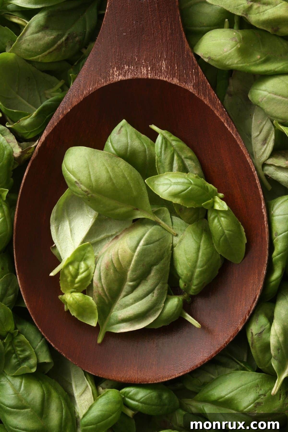 Basil leaves on a wooden spoon.