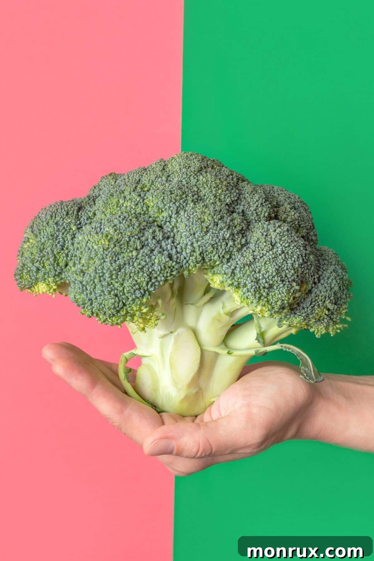 Person holding a head of broccoli, symbolizing healthy, plant-based eating.