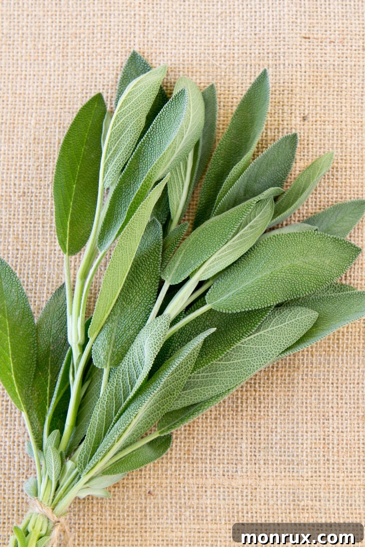 A bundle of sage leaves on a burlap surface.