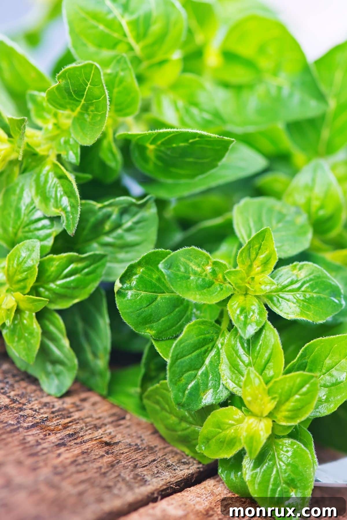 Fresh marjoram leaves on a wooden surface.