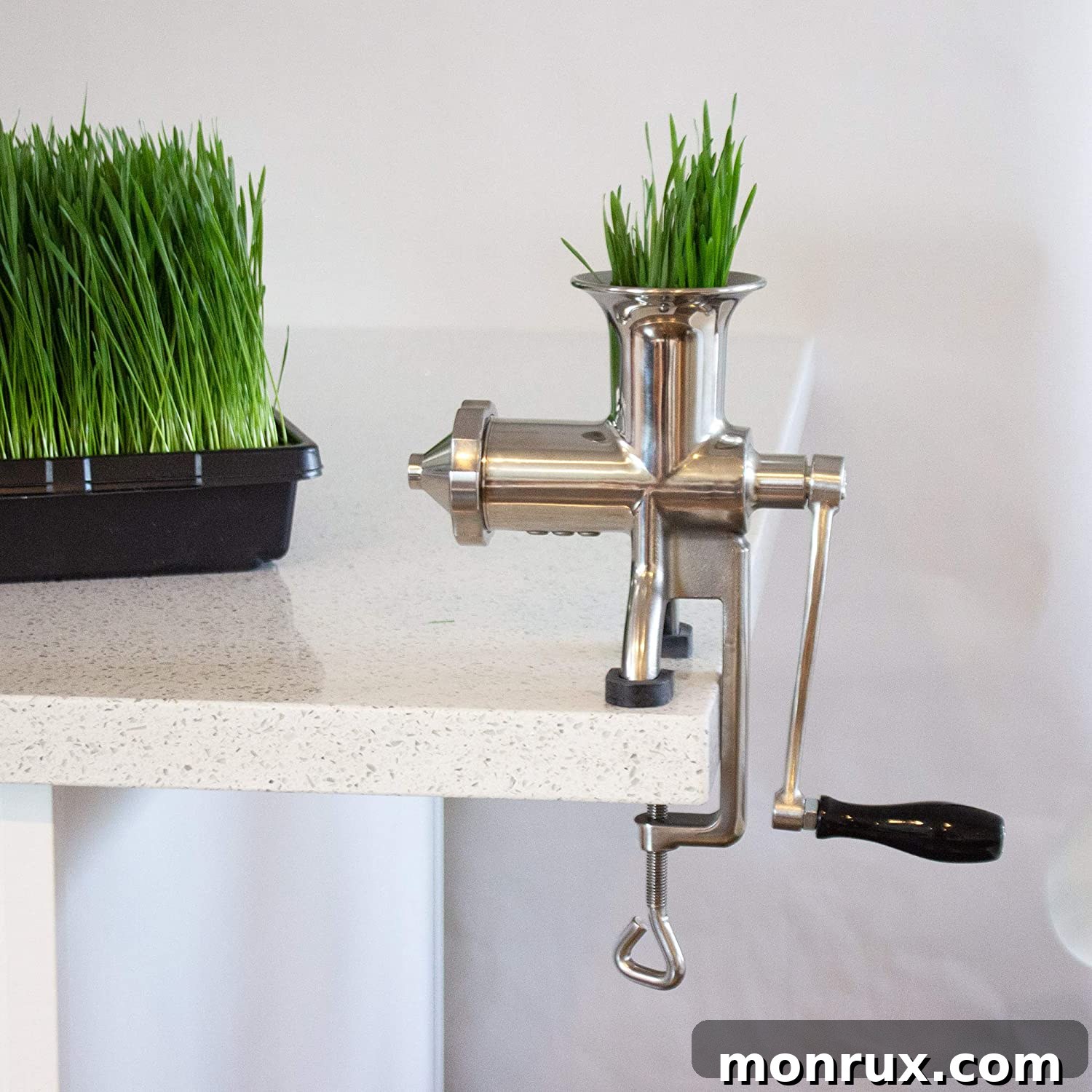 A stainless steel manual wheatgrass juicer, featuring a hand crank and clamp, is shown on a countertop.