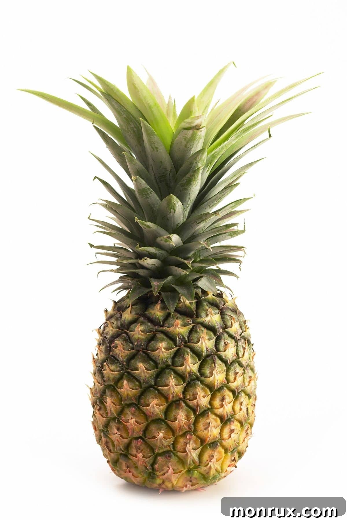 A fresh, whole pineapple on a clean white background, highlighting its textured skin.