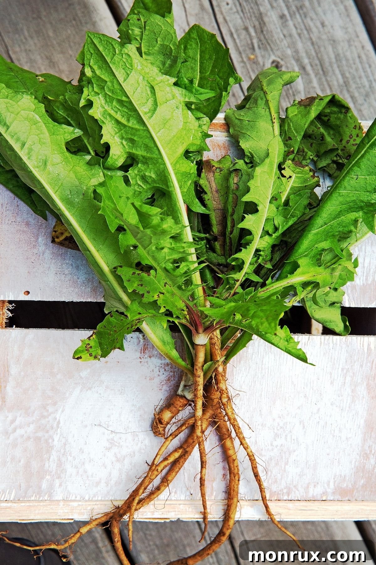 A vibrant bunch of dandelion greens resting on a rustic wood table.