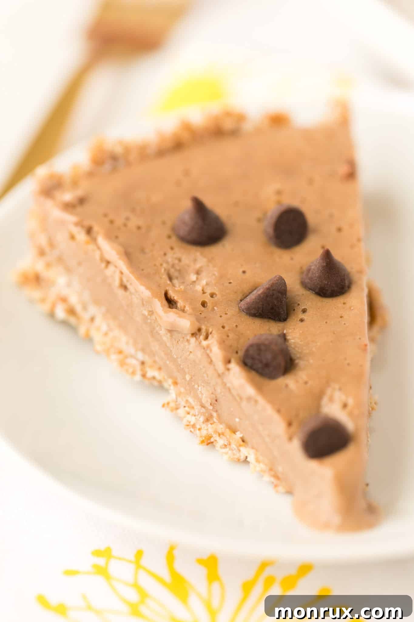 A beautifully presented slice of chocolate peanut butter pie, garnished with chocolate chips, ready to be enjoyed.