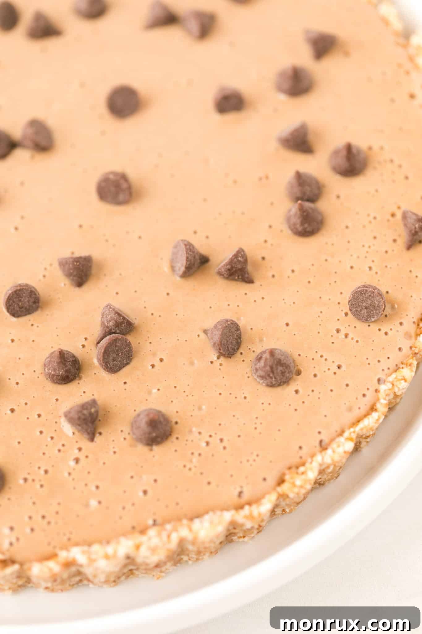 A vibrant close-up of the finished vegan peanut butter pie, adorned with a generous sprinkle of chocolate chips, showcasing its inviting texture.