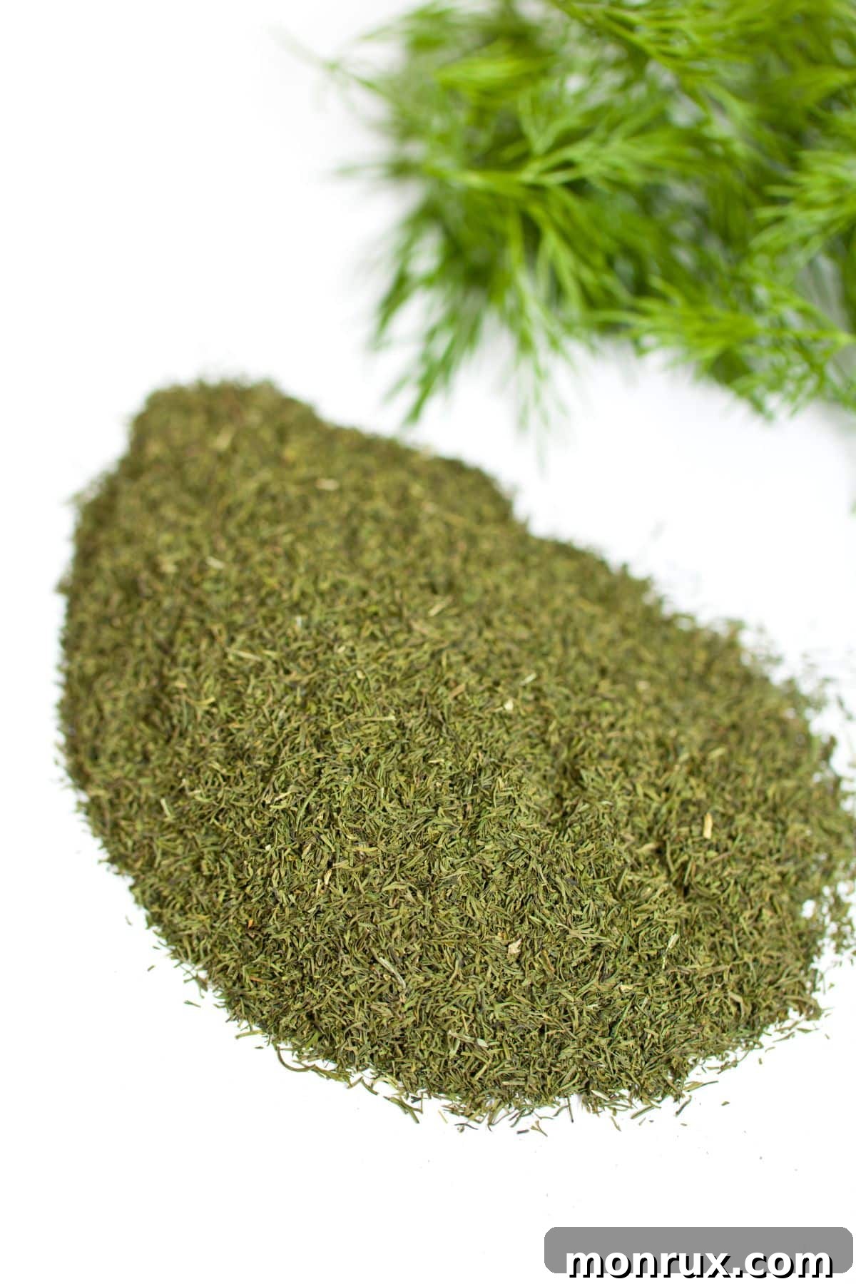 Mound of dried dill spices beside fresh dill leaves, illustrating the difference in form.
