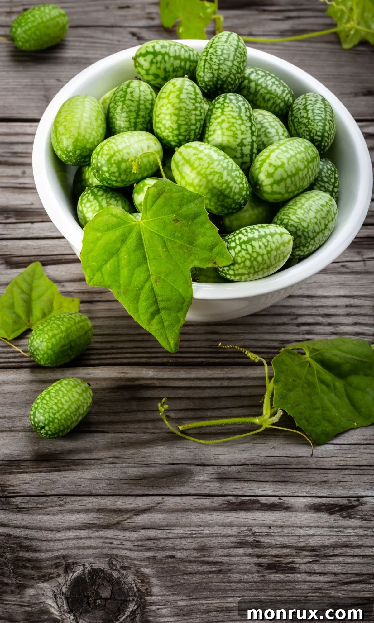 A white bowl brimming with tiny Mexican sour cucumbers, resembling miniature watermelons.