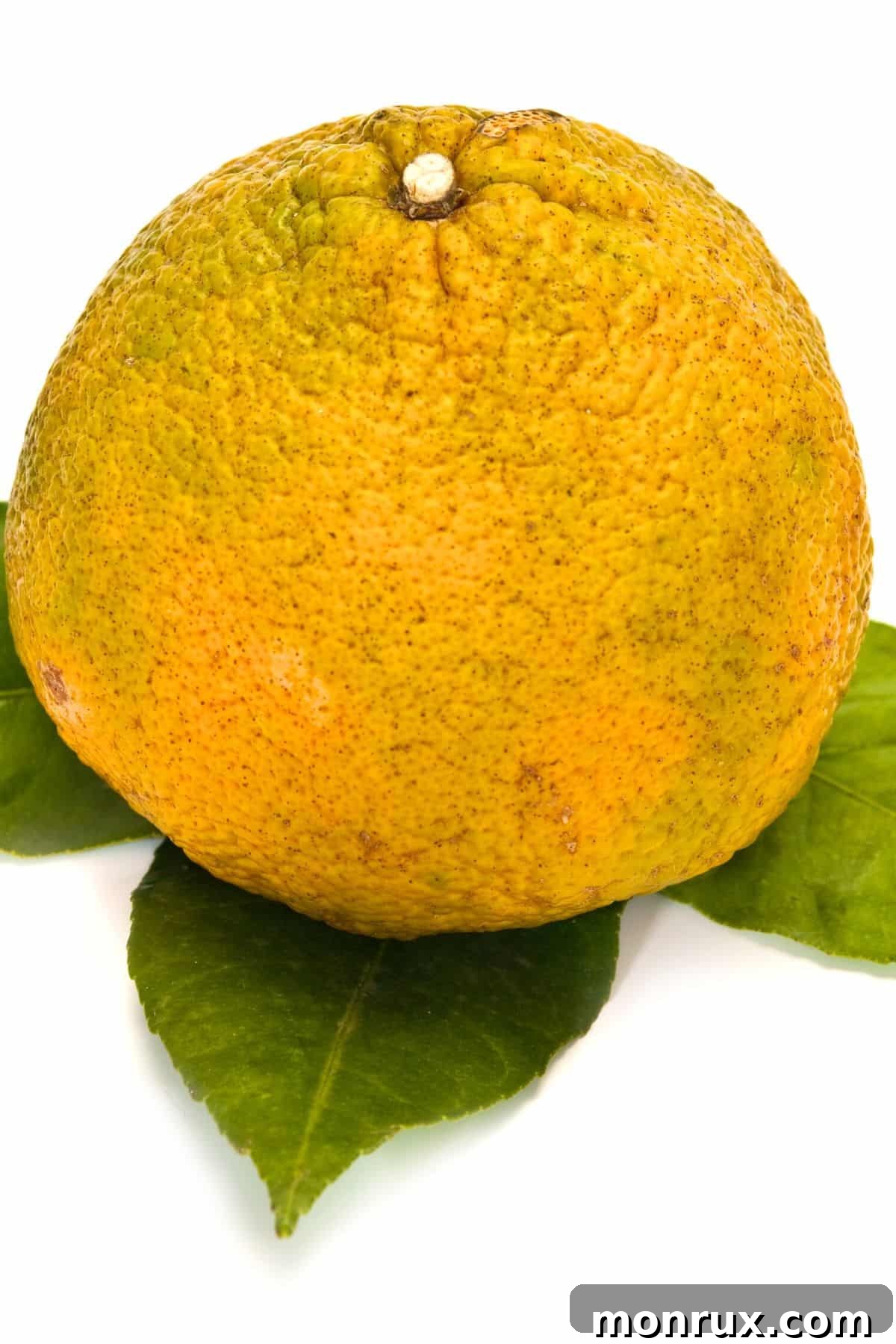 Ugli fruit, also known as Jamaican tangelo or pomelo, with its rough, dimpled skin.