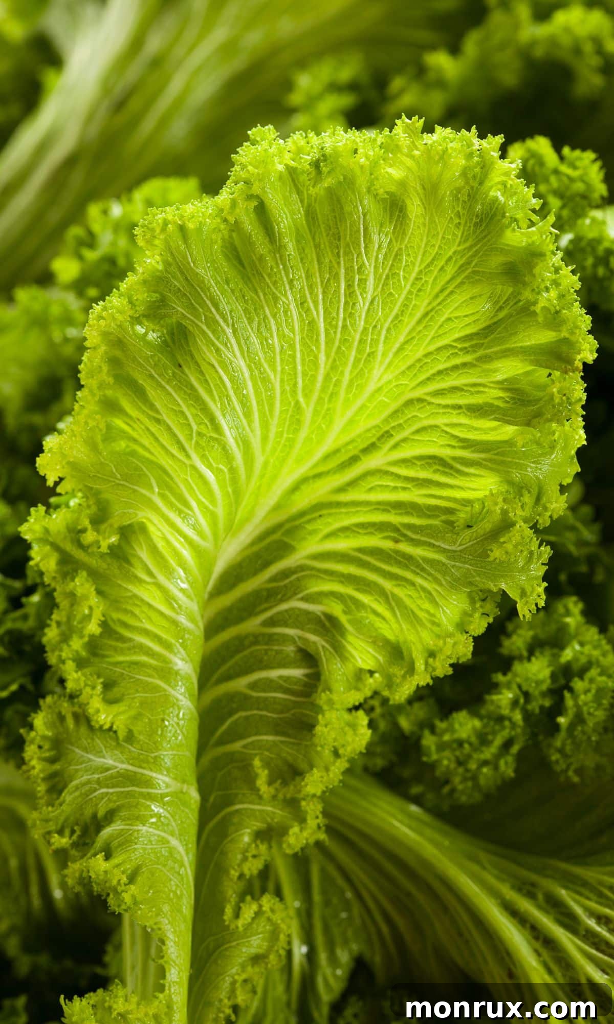 Large, fresh bunches of vibrant green mustard greens are shown in a close-up shot, highlighting their crisp texture and deep color.