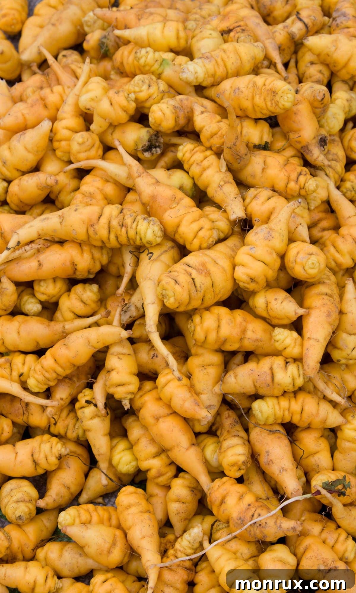 A vibrant cluster of Mashua tubers, exhibiting a range of beige, brown, and orange hues with visible indentations, showcasing their raw natural form.