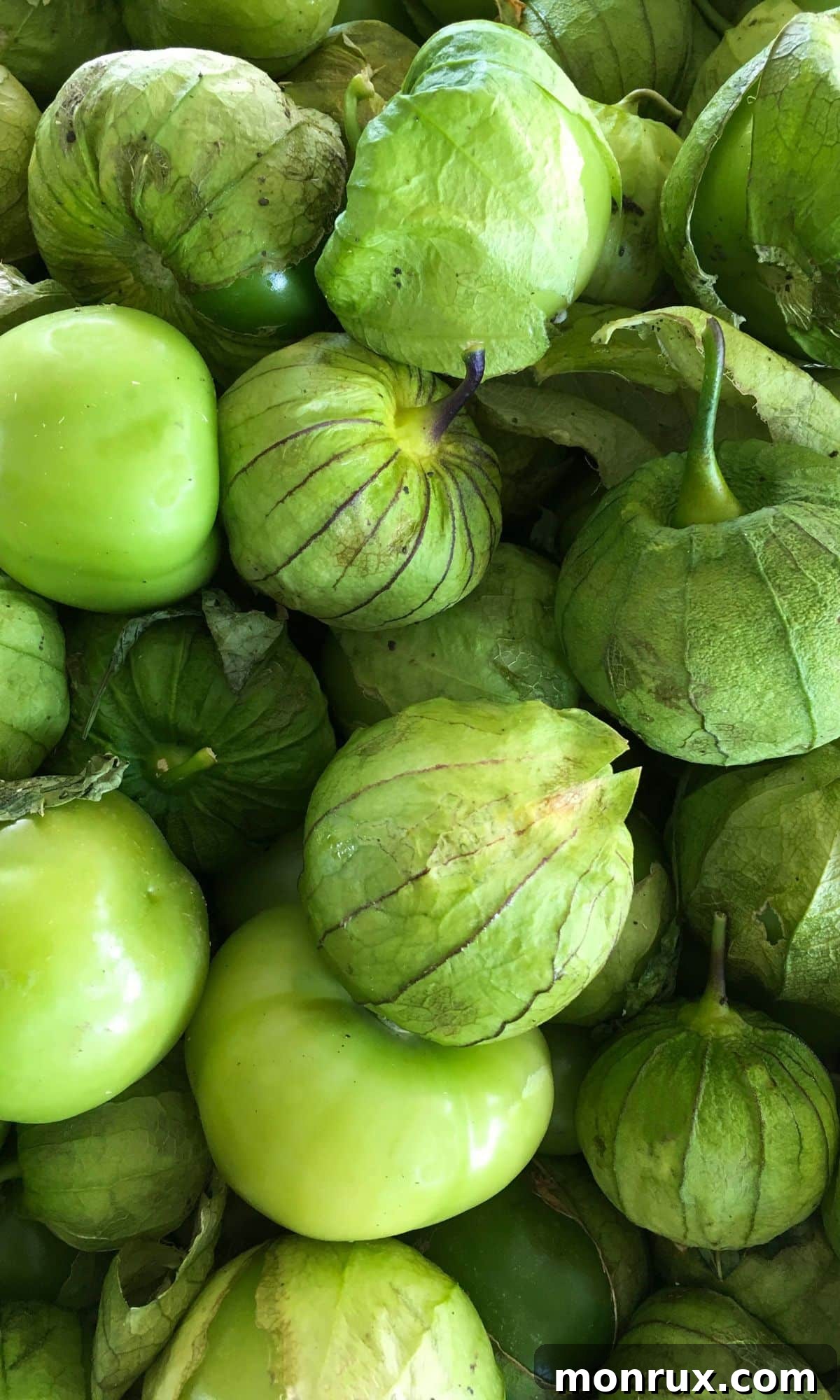 A cluster of fresh green tomatillos, each encased in its delicate, papery husk, ready for culinary use.