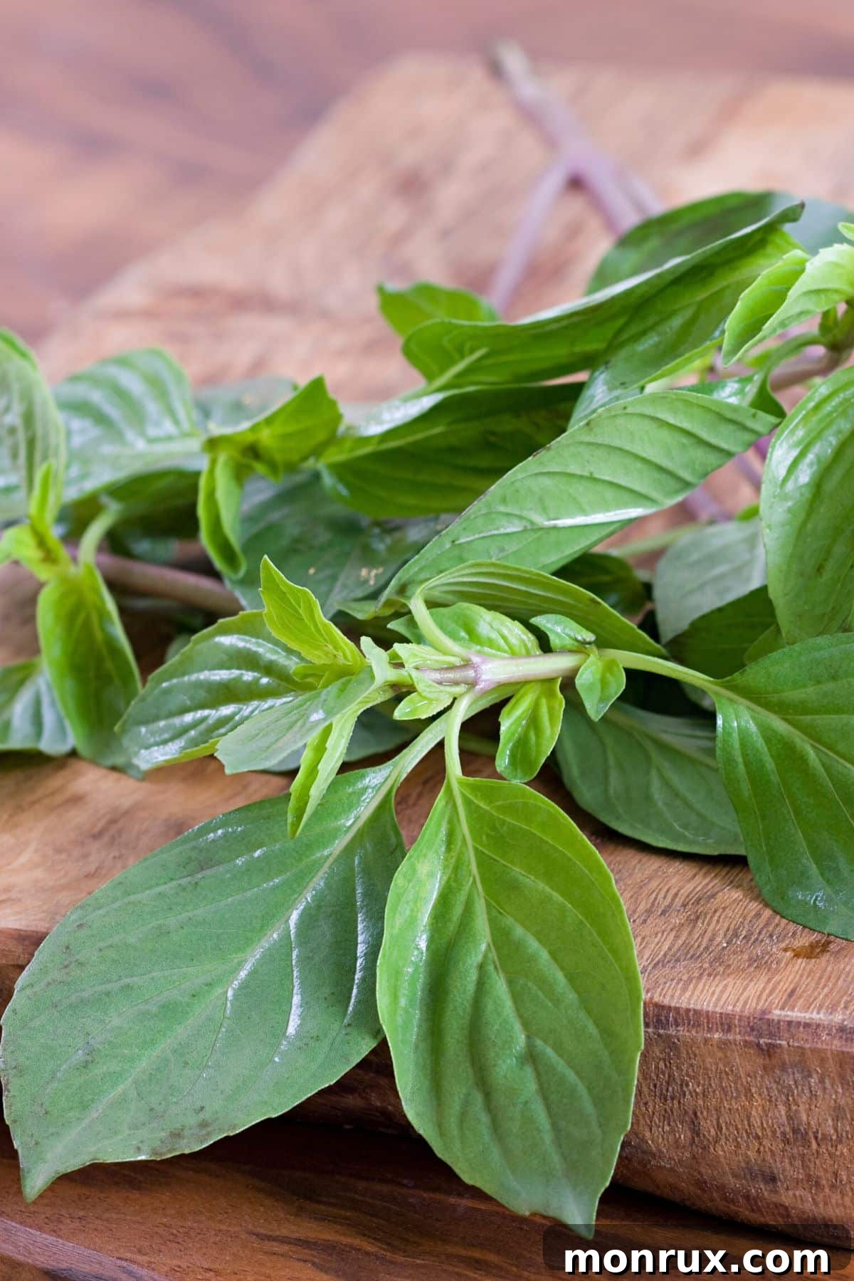 A beautiful bundle of fresh basil leaves on a rustic wooden table, ready for storage.