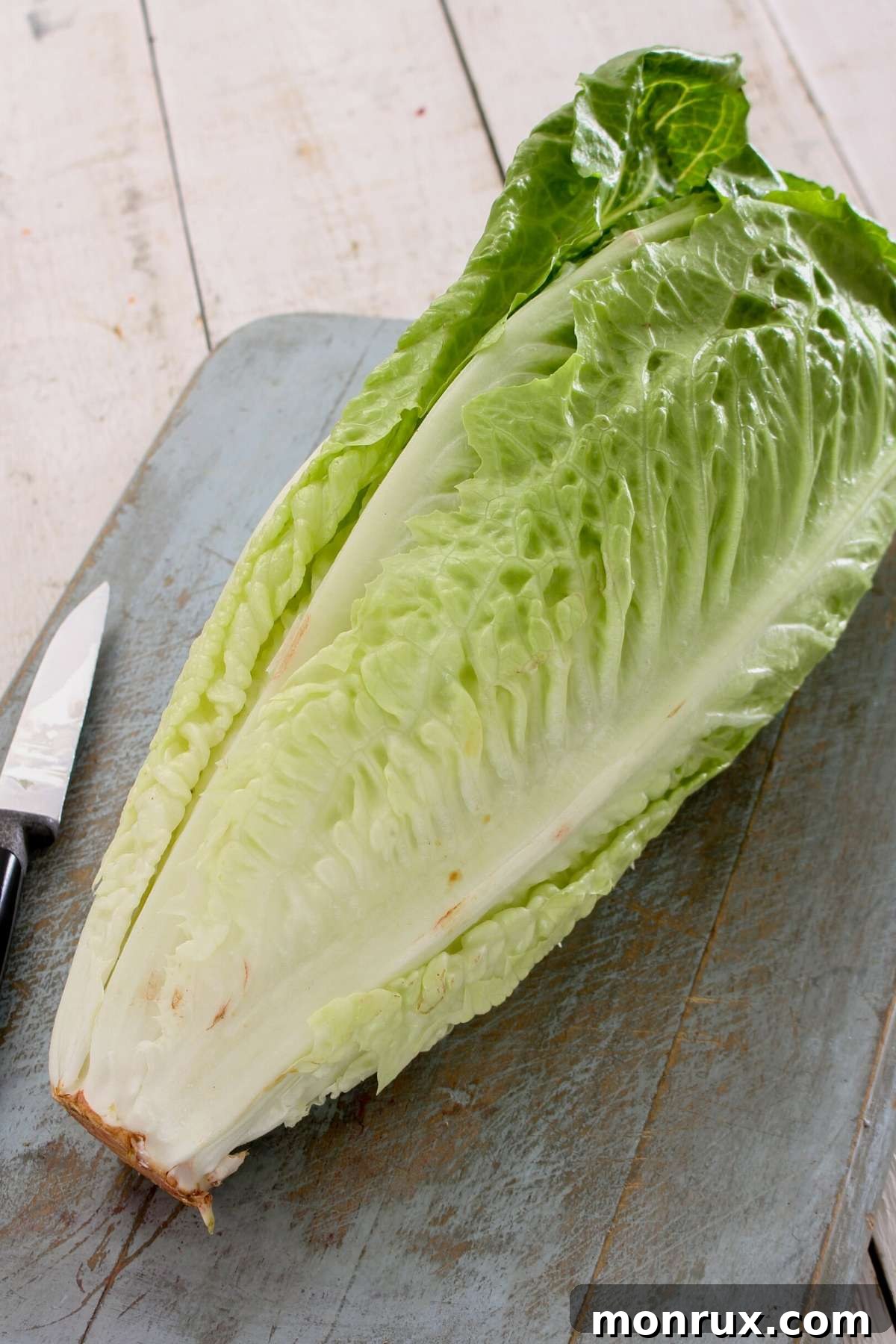 A crisp head of Romaine lettuce, ready for a light and refreshing juice.