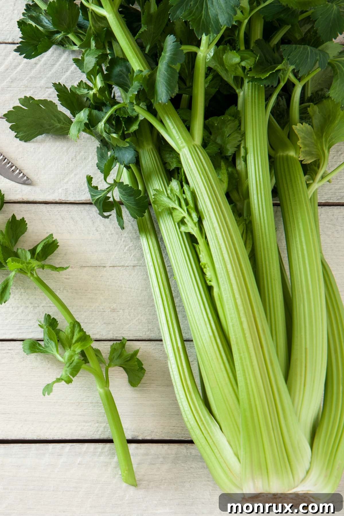 A crisp bunch of fresh celery stalks, ideal for a hydrating juice.