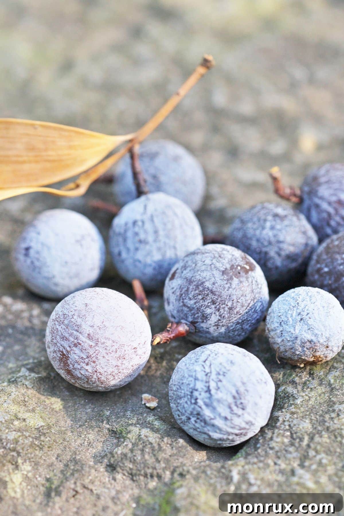 A bowl of small, dark Nageia fruits on a table, resembling blueberries or cranberries.