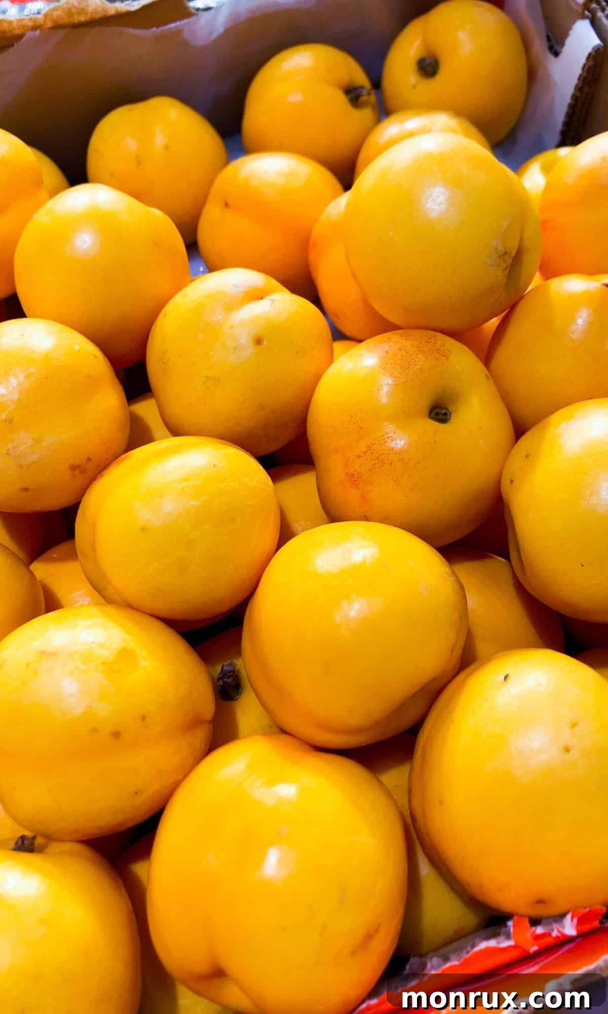 A pile of round, orange Nectacot fruits with a subtle red blush on a rustic surface.