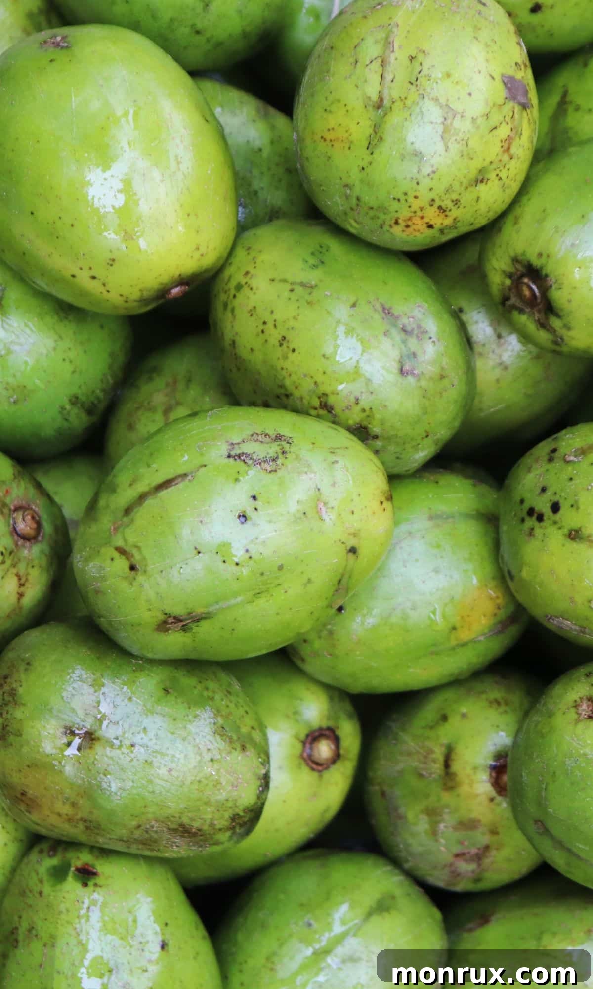 A cluster of small, green Nepali Hog Plum fruits on a branch, resembling tiny plums.