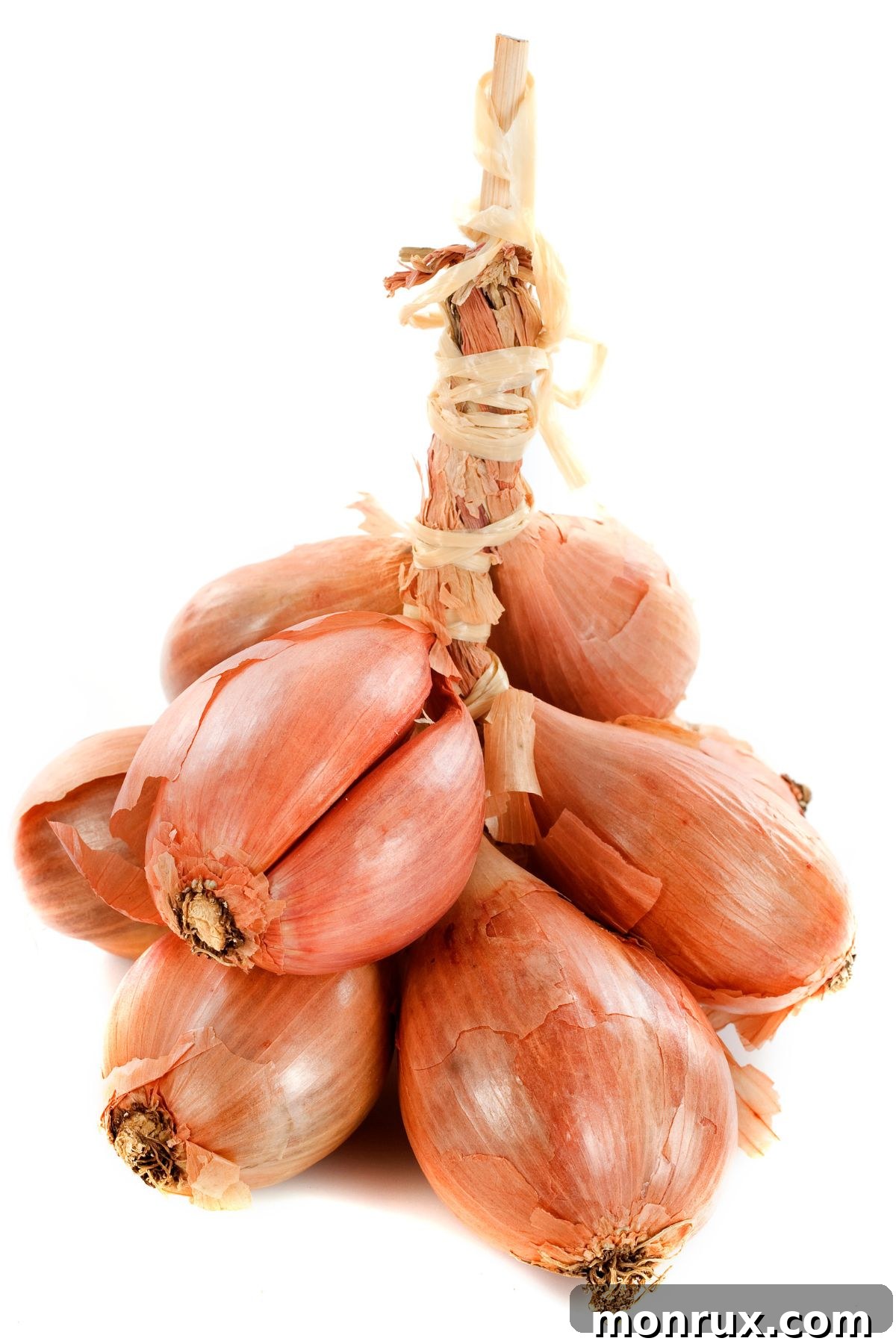 A bunch of dried fresh shallots bundled together, showing their delicate papery skins, ready for culinary use.