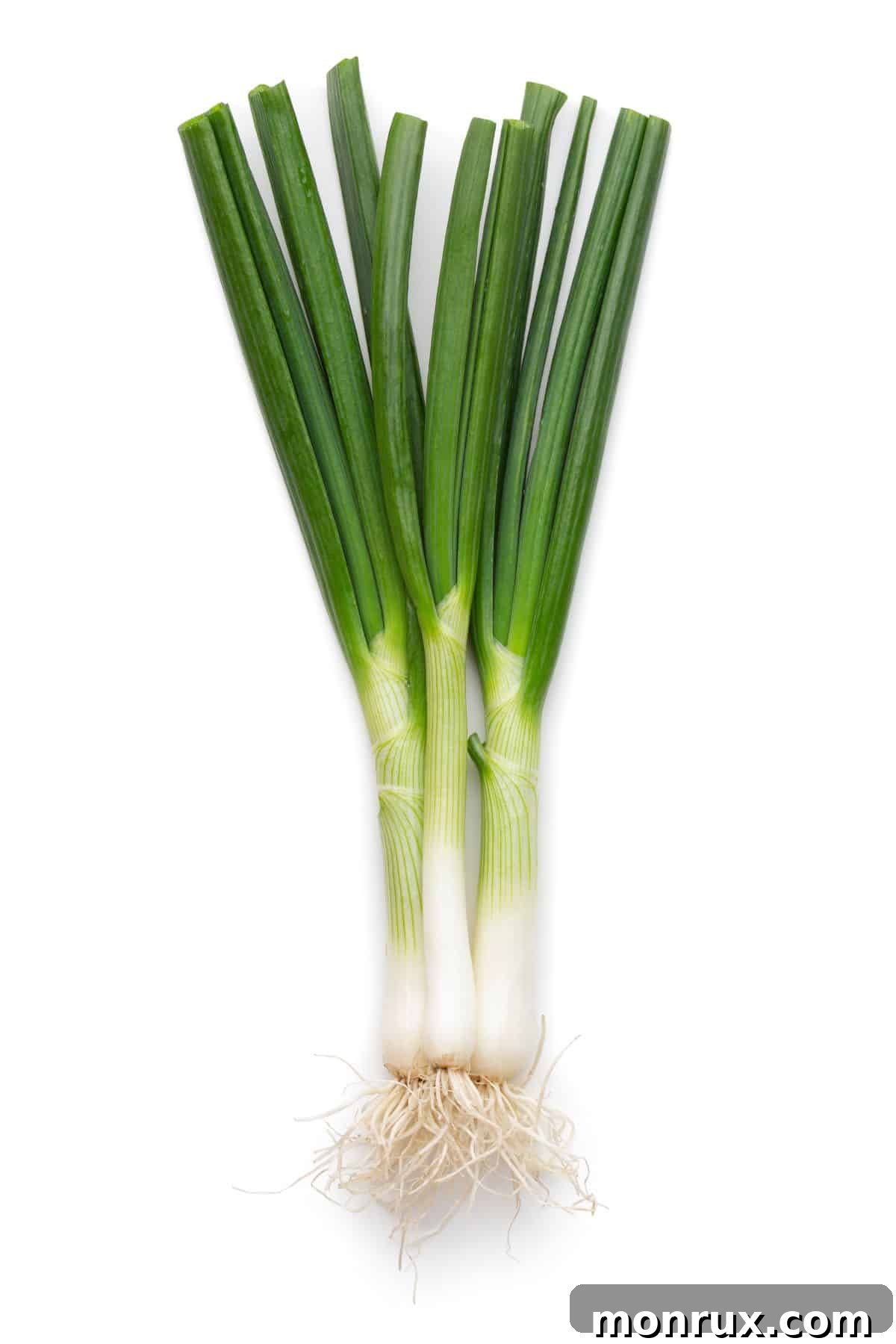 A vibrant bundle of green onions, also known as scallions, on a white background, highlighting their fresh appeal and crisp texture.