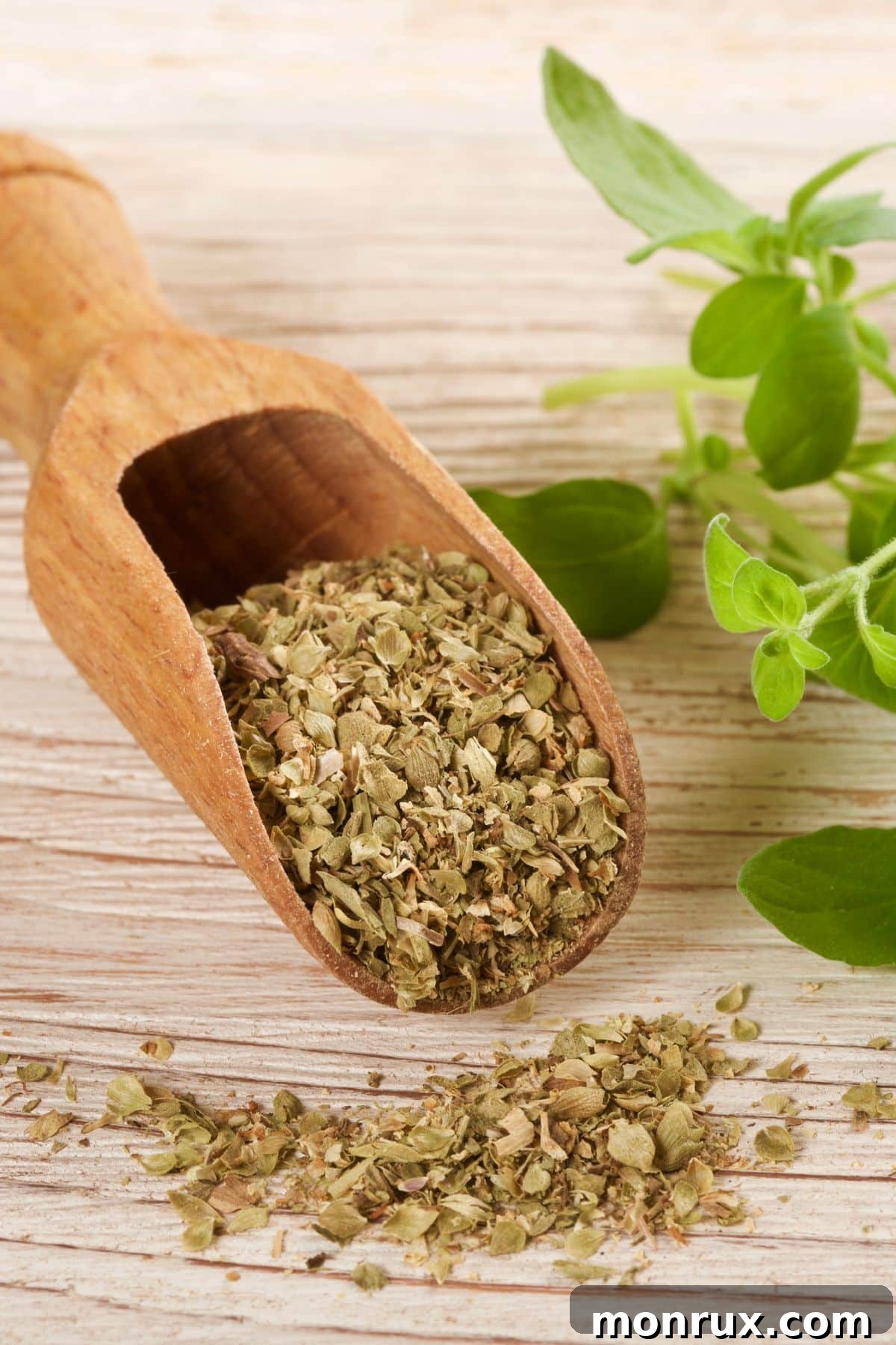 Dried oregano in scoop on wooden table with fresh oregano, alongside dried basil.